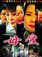 何賽飛