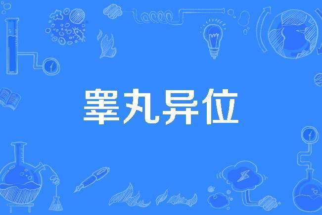 睪丸異位 睪丸異位
