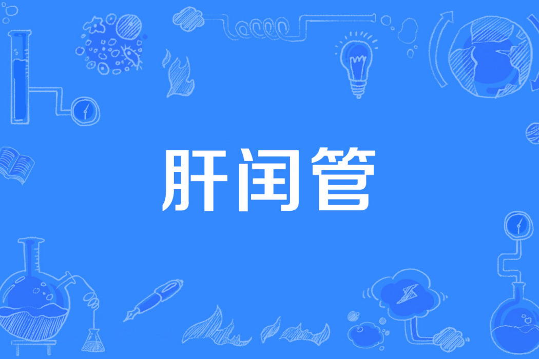 肝閏管