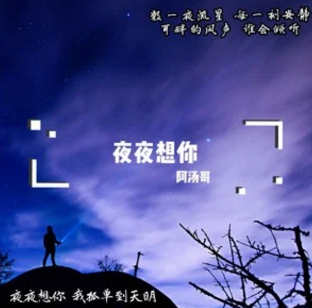 夜夜想你 夜夜想你