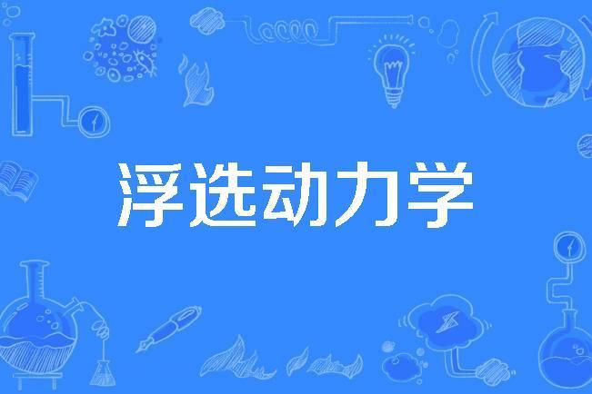 浮選動力學 浮選動力學