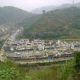 滄江村 滄江村