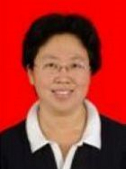 丁艷紅(太原理工大學教授) 丁艷紅(太原理工大學教授)