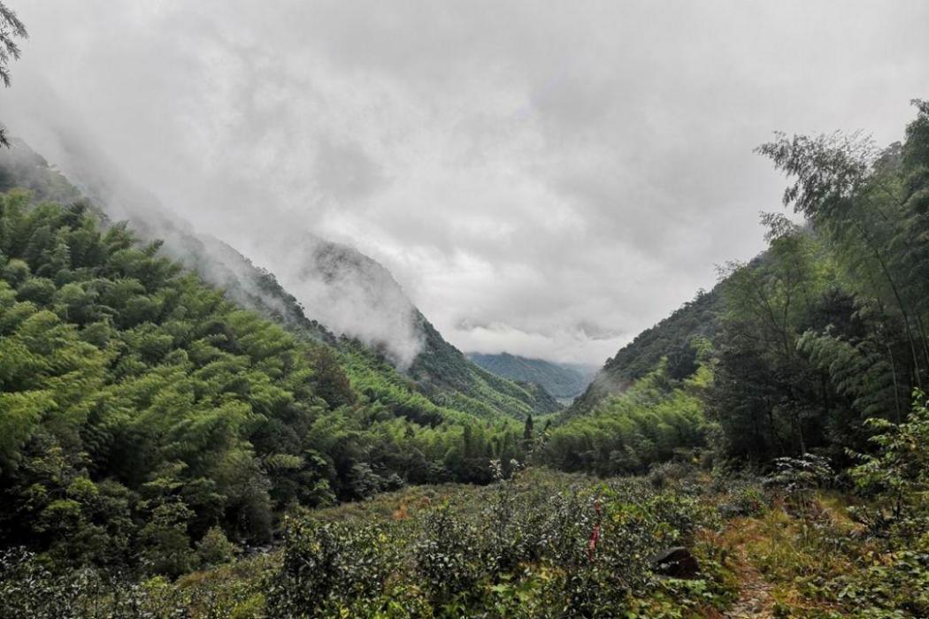 大壢村(江西省尋烏縣吉潭鎮下轄行政村) 大壢村(江西省尋烏縣吉潭鎮下轄行政村)