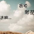 王cc減肥記 王cc減肥記