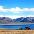 西藏黃金旅遊線