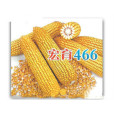 宏育466 宏育466
