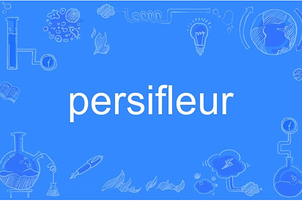 persifleur persifleur