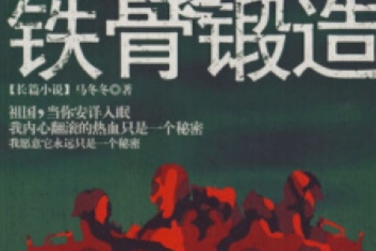 突刺(2008年江蘇文藝出版社出版的圖書) 突刺(2008年江蘇文藝出版社出版的圖書)