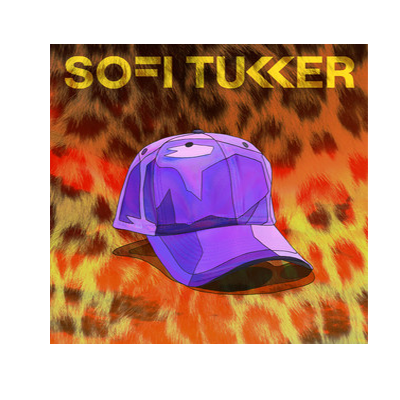 Purple Hat Purple Hat