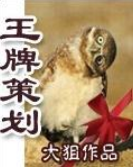 王牌策劃 王牌策劃