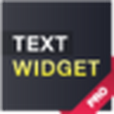 文本桌面 Text widget