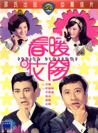 李麗麗(演員) 李麗麗(演員)
