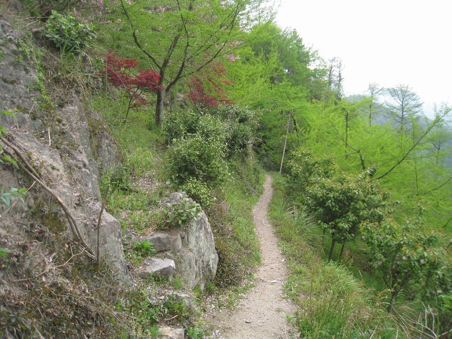 大畔古道 大畔古道