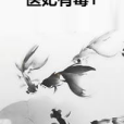 醫妃有毒1 醫妃有毒1