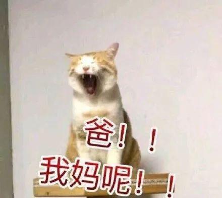 我是子書閒 我是子書閒