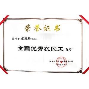 黎鳳珍(第一批鄉村工匠名師，瑤族服飾自治區級代表性傳承人)