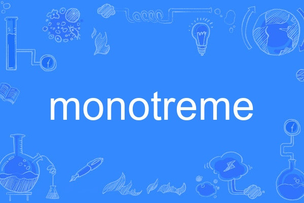 monotreme monotreme