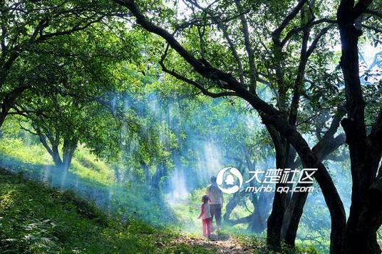 柏墩村 柏墩村