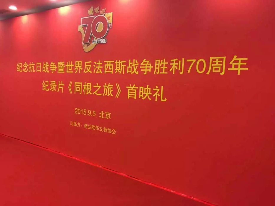 同根之旅 同根之旅