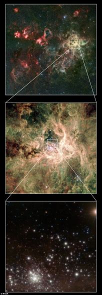 星團RMC 136a中的恆星分布