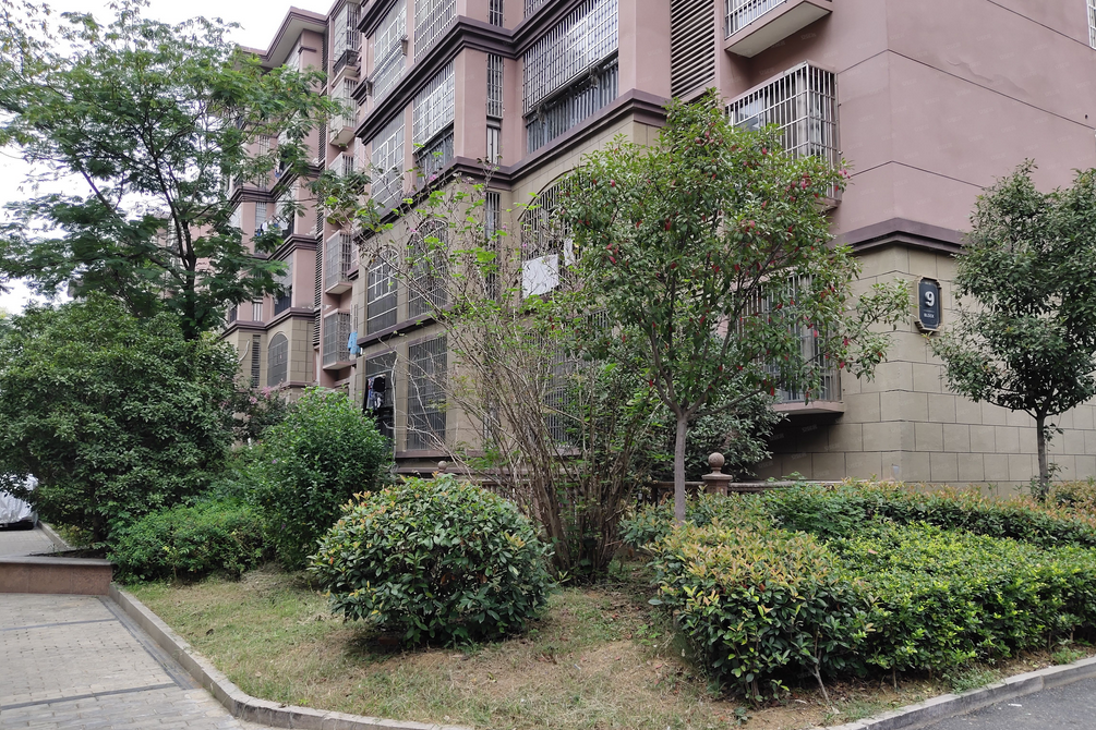 文元學府 文元學府