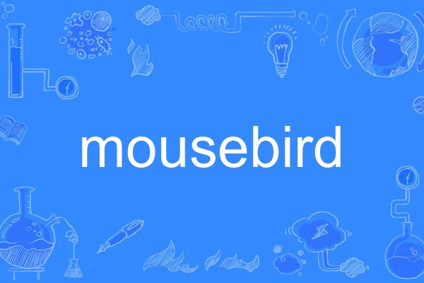 mousebird