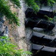 都掌族 都掌族