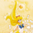 愛野美奈子(水手金星) 愛野美奈子(水手金星)