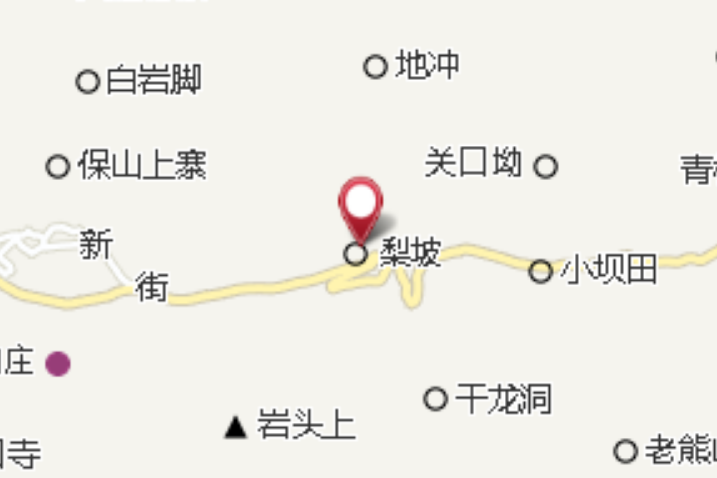 梨坡大隊