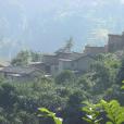 萬年寨村 萬年寨村
