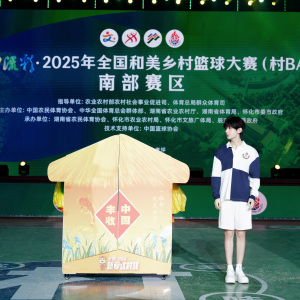 成毅