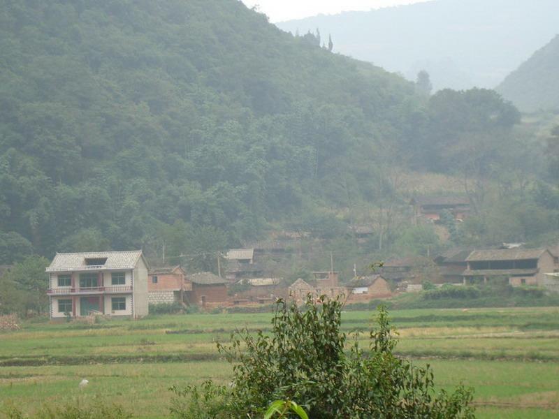 上期烏村 上期烏村