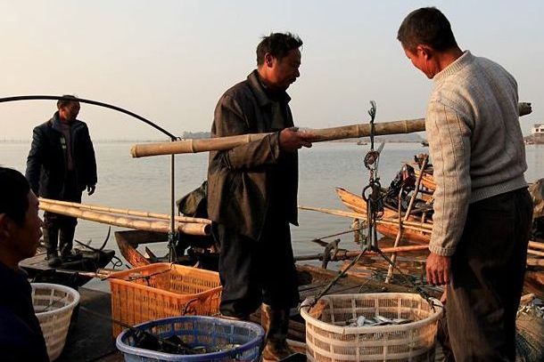 魚販子 魚販子