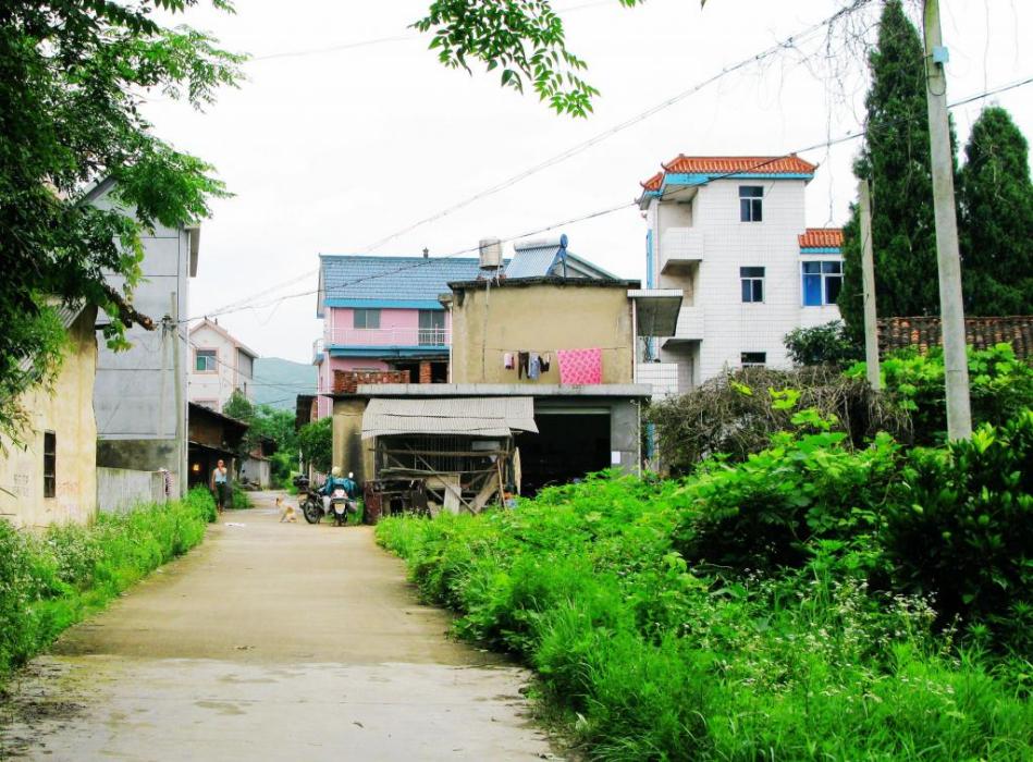 大橋畈村 大橋畈村