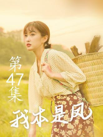 我本是鳳 我本是鳳