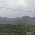 李家河 李家河