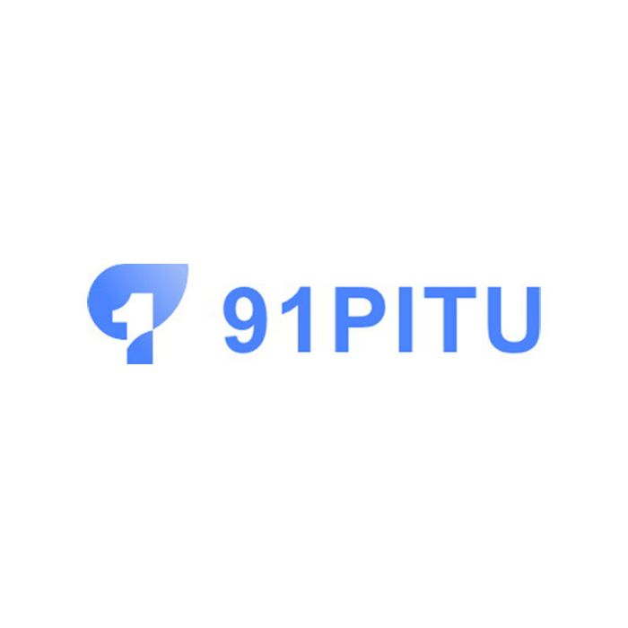 91PITU 91PITU