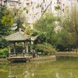 曹楊公園 曹楊公園
