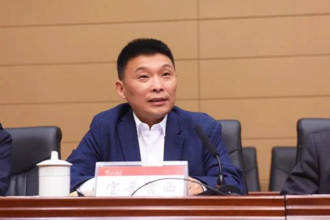 寶音(清華大學航天航空學院教授) 寶音(清華大學航天航空學院教授)