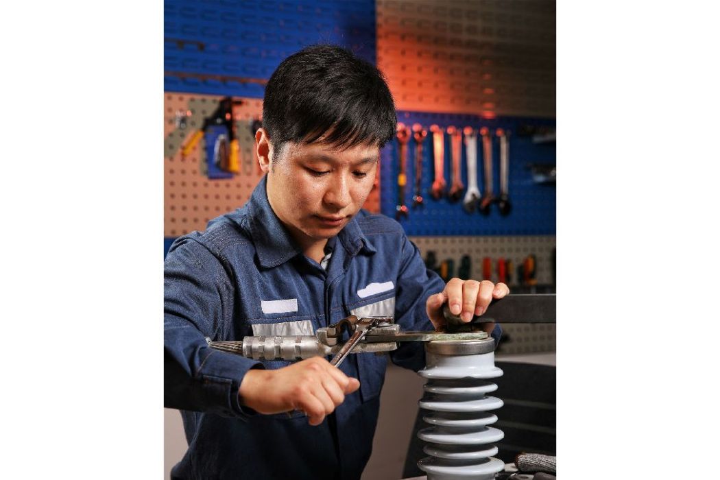 李正強(中國南方電網廣東電網佛山三水供電局技術員) 李正強(中國南方電網廣東電網佛山三水供電局技術員)