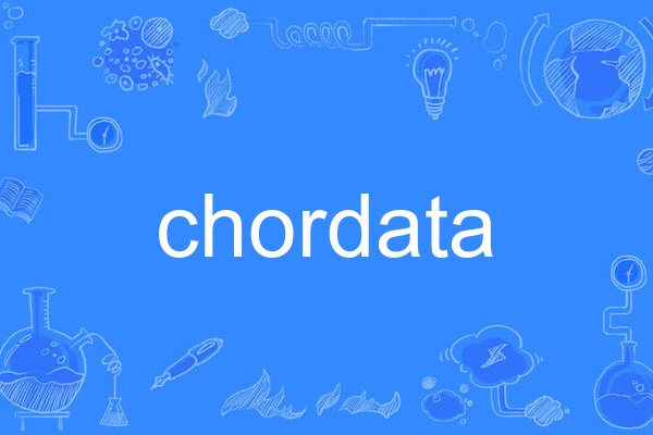chordata chordata