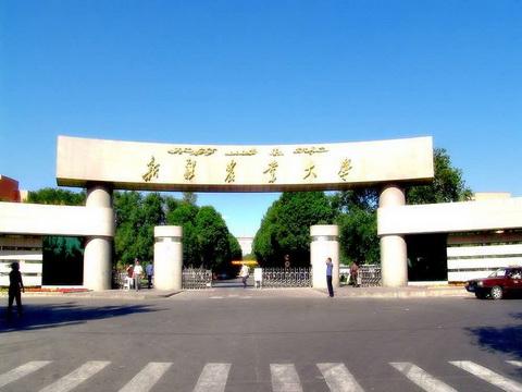 新疆農業大學計算機與信息工程學院