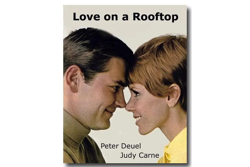 Love on a Rooftop(1966年李·飛利浦執導的電視劇) Love on a Rooftop(1966年李·飛利浦執導的電視劇)