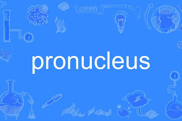 pronucleus pronucleus