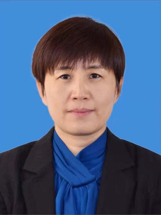 張征(海南省委深改辦(自貿港工委)副主任(掛職)) 張征(海南省委深改辦(自貿港工委)副主任(掛職))
