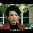 母子情深(電視劇) 母子情深(電視劇)