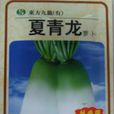 夏青龍蘿蔔