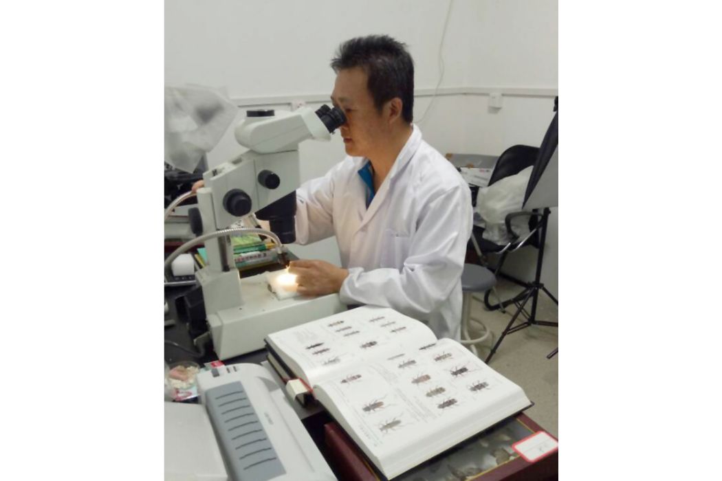 楊偉(四川農業大學林學院教授、博士生導師) 楊偉(四川農業大學林學院教授、博士生導師)