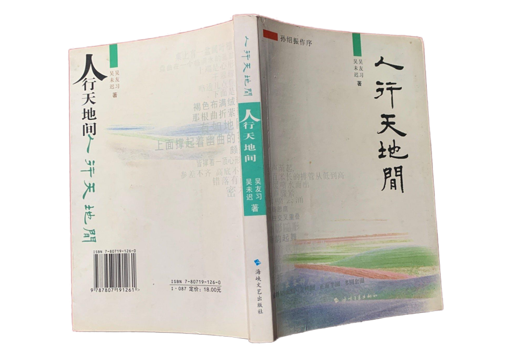 人行天地間